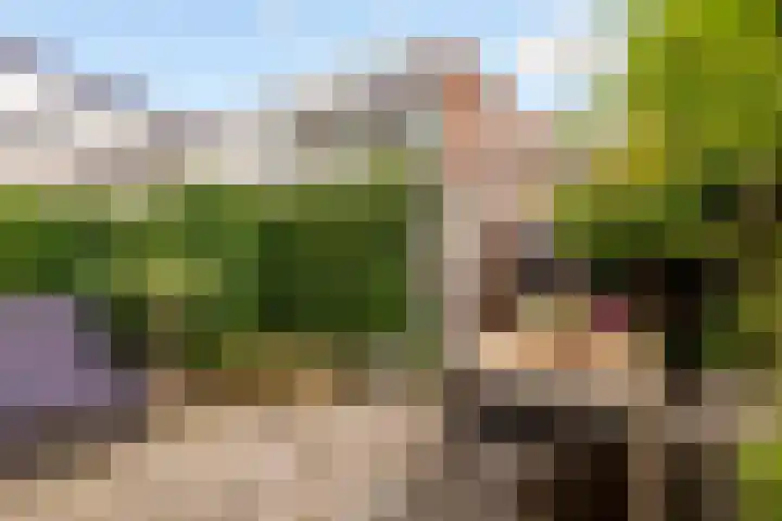 Hoogravenseweg 153 Utrecht thumbnail 23
