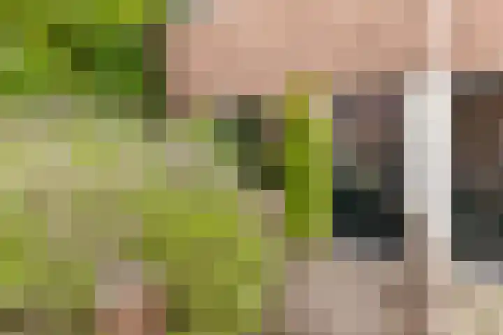 Hoogravenseweg 153 Utrecht thumbnail 4