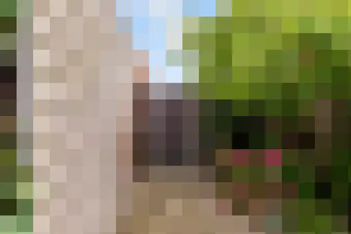 Hoogravenseweg 153 Utrecht thumbnail 49