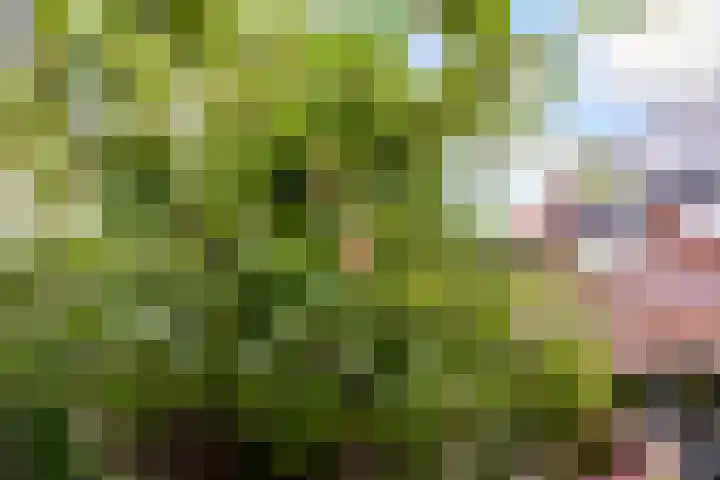Hoogravenseweg 153 Utrecht thumbnail 50