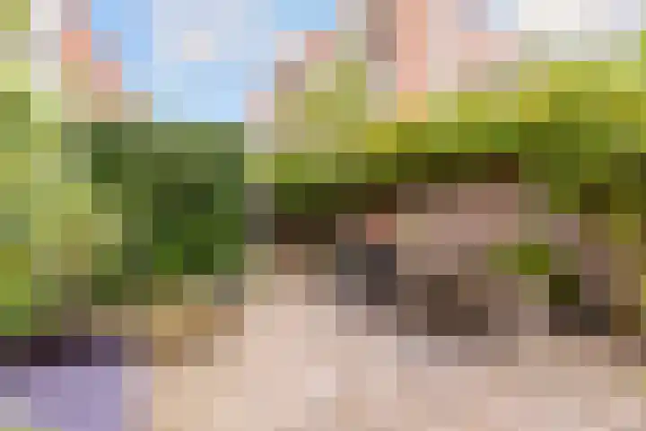 Hoogravenseweg 153 Utrecht thumbnail 51