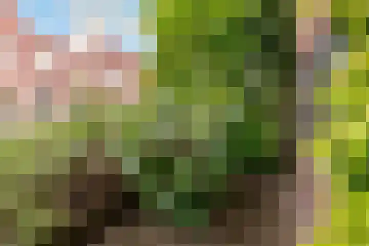 Hoogravenseweg 153 Utrecht thumbnail 52