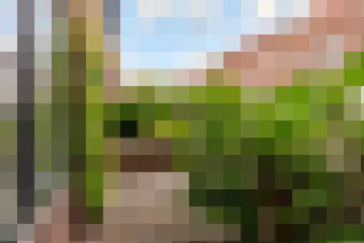 Hoogravenseweg 153 Utrecht thumbnail 53