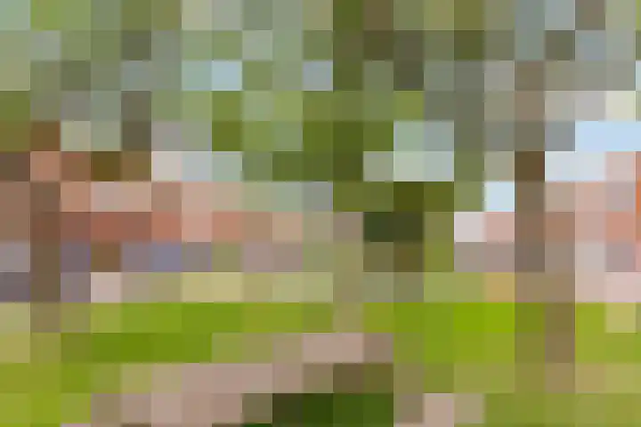 Hoogravenseweg 153 Utrecht thumbnail 66