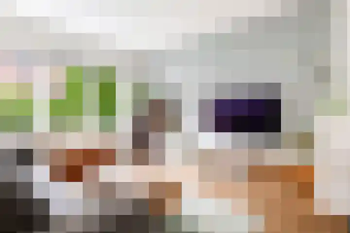 Hoogravenseweg 153 Utrecht thumbnail 7
