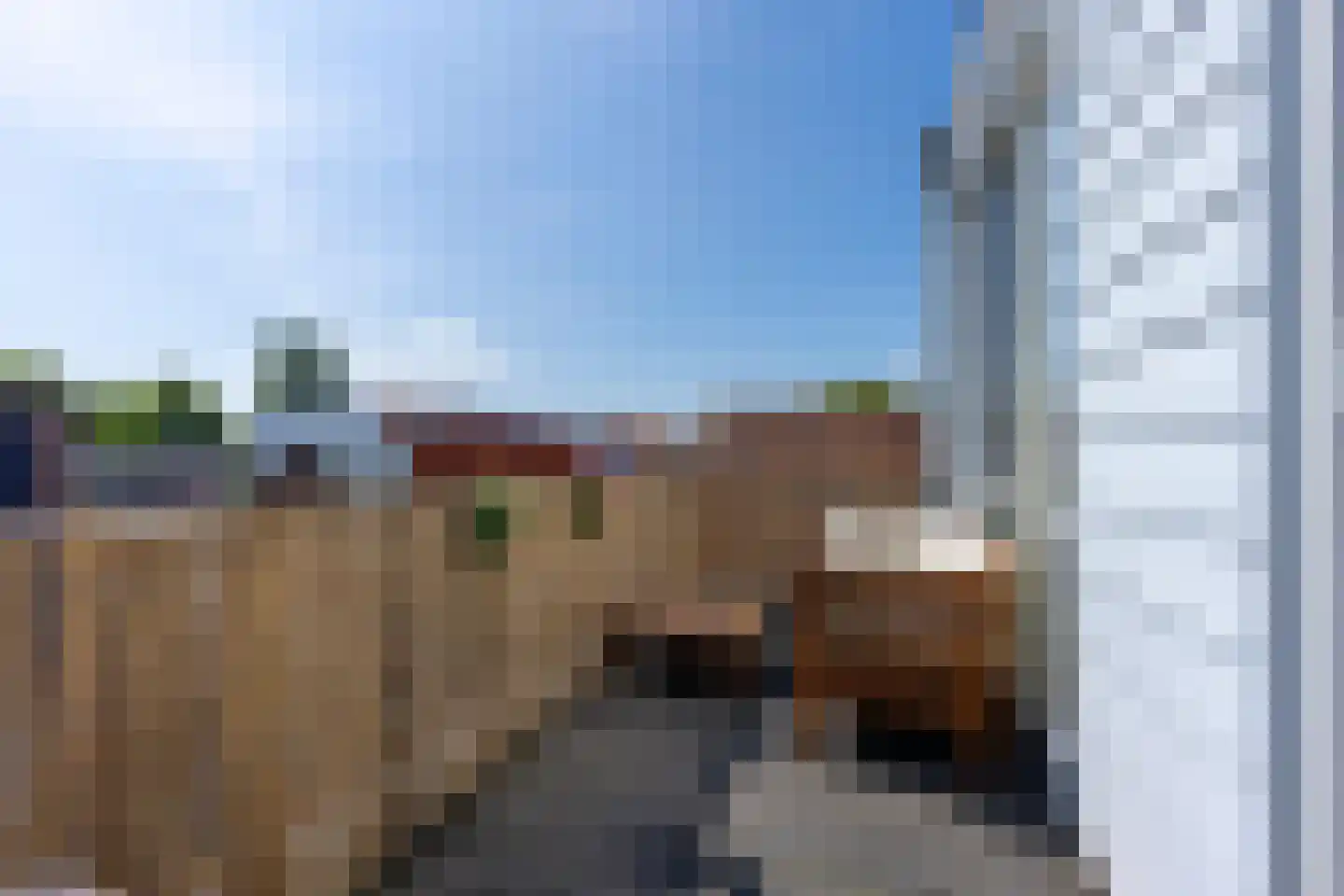 Hoogravenseweg 21 C Utrecht thumbnail 26