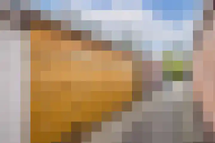 Hoogravenseweg 5 Utrecht thumbnail 19
