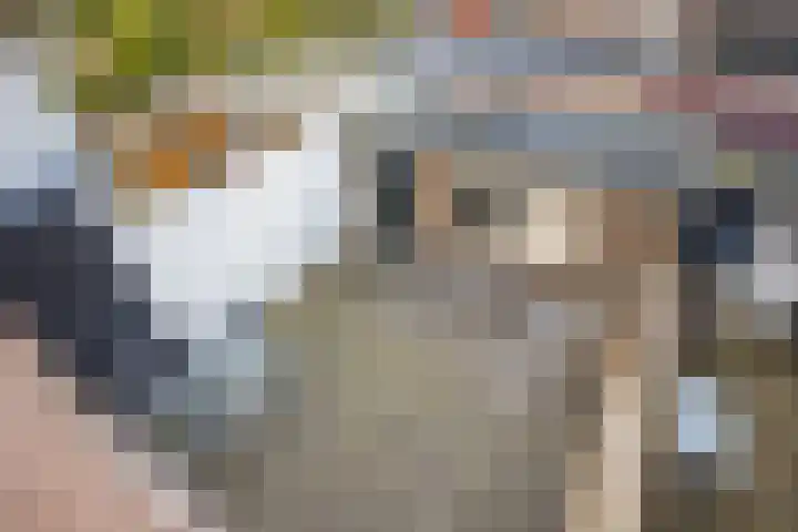 Hoogravenseweg 5 Utrecht thumbnail 35
