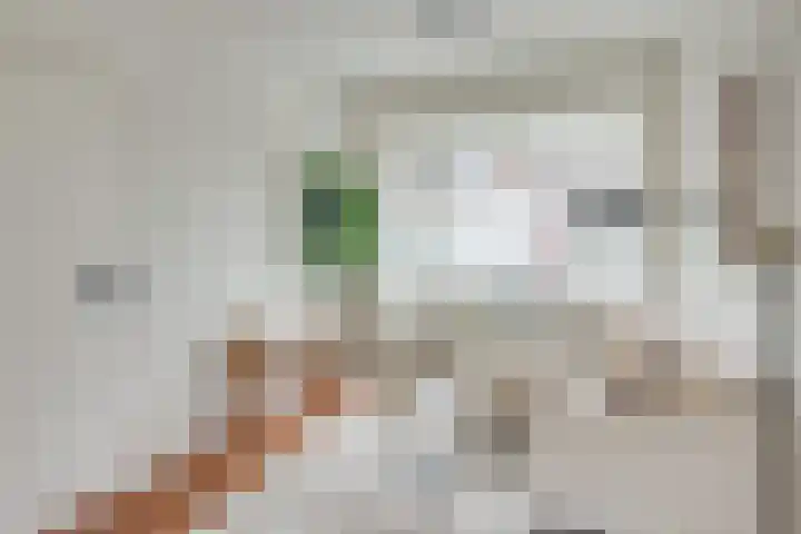 Hoogravenseweg 5 Utrecht thumbnail 5