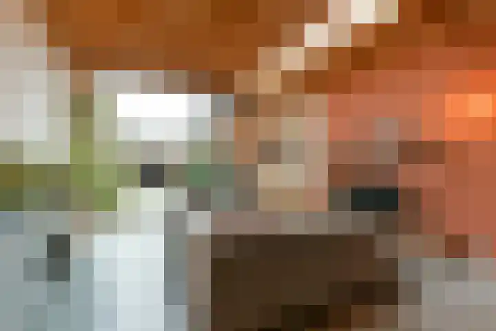 Hoogravenseweg 54 Utrecht thumbnail 15