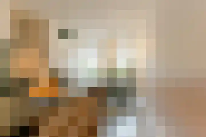 Hoogravenseweg 54 Utrecht thumbnail 6