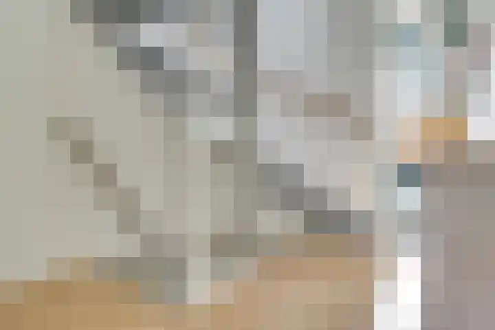Hoogravenseweg 76 Utrecht thumbnail 32