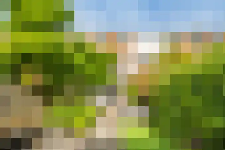 Hoogravenseweg 76 Utrecht thumbnail 57