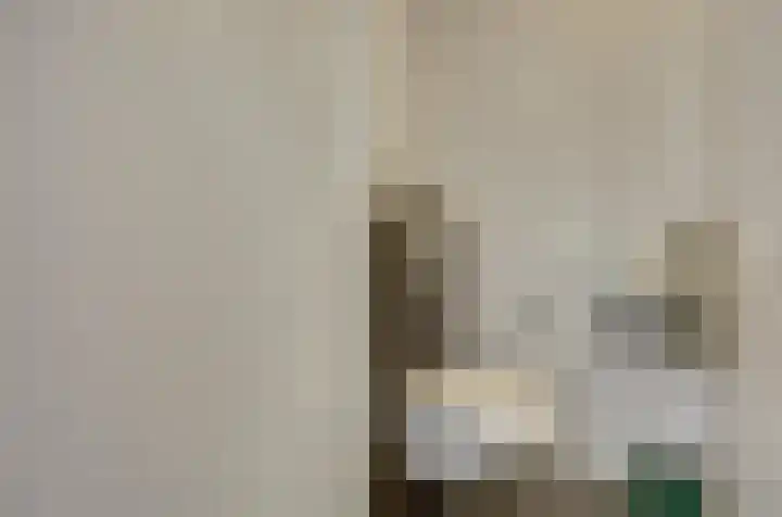 Hoogrijm 7 Broek op Langedijk thumbnail 12