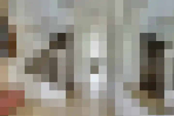 Hoogrijm 7 Broek op Langedijk thumbnail 13