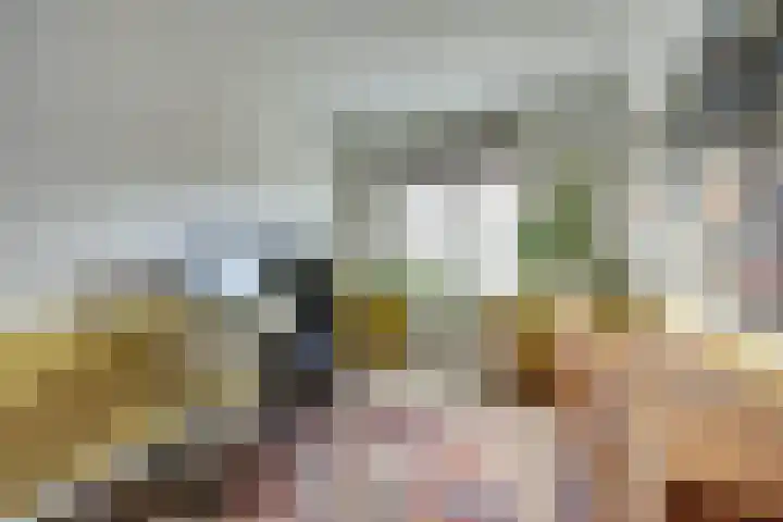 Hoogrijm 7 Broek op Langedijk thumbnail 17
