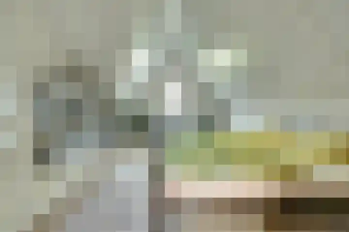 Hoogrijm 7 Broek op Langedijk thumbnail 20