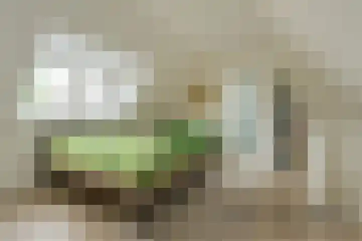 Hoogrijm 7 Broek op Langedijk thumbnail 22