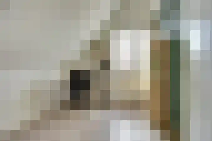 Hoogrijm 7 Broek op Langedijk thumbnail 23