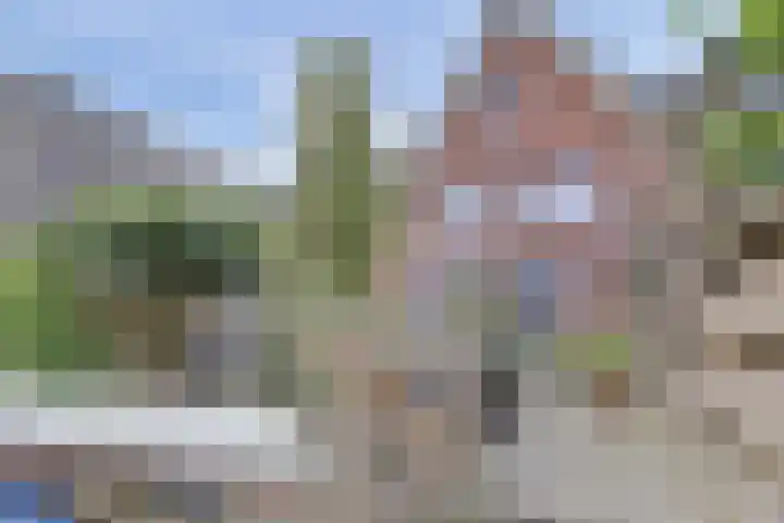 Hoogrijm 7 Broek op Langedijk thumbnail 25