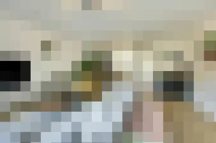 Hoogrijm 7 Broek op Langedijk thumbnail 4