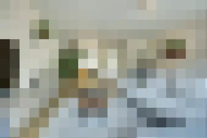 Hoogrijm 7 Broek op Langedijk thumbnail 5