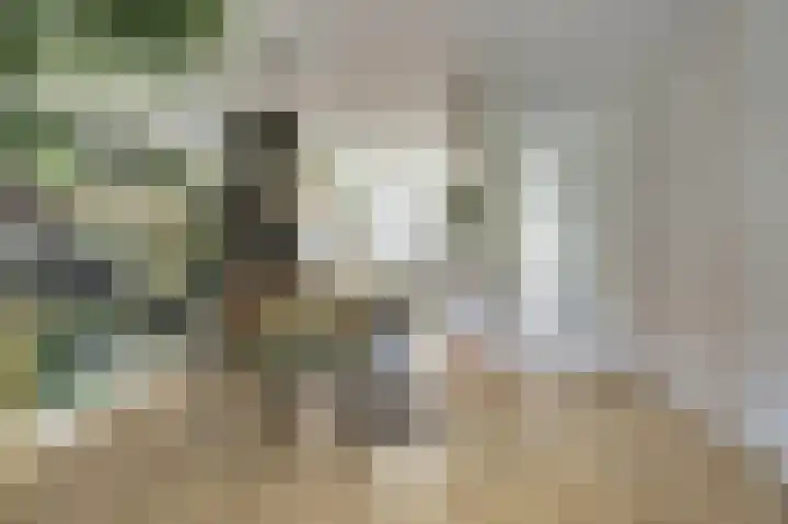 Hoogrijm 7 Broek op Langedijk thumbnail 6