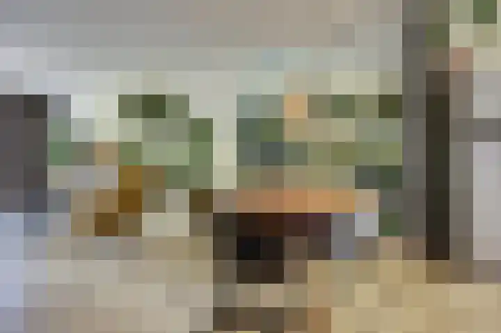 Hoogrijm 7 Broek op Langedijk thumbnail 7