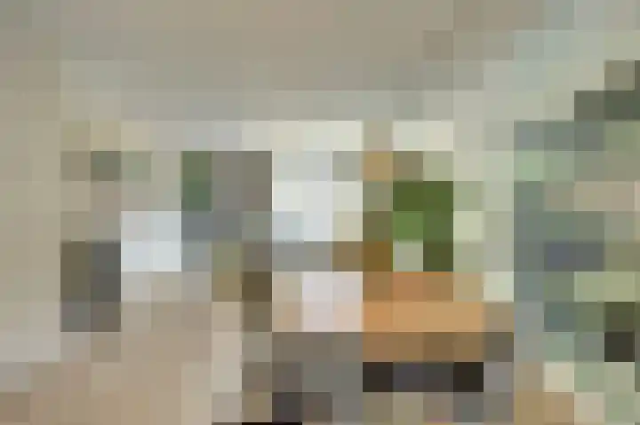 Hoogrijm 7 Broek op Langedijk thumbnail 8