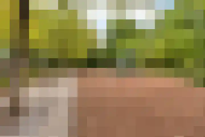 Hoogschoor 15 Goirle thumbnail 32