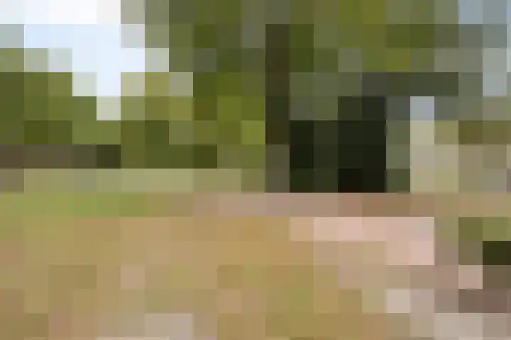 Hoogschoor 15 Goirle thumbnail 33