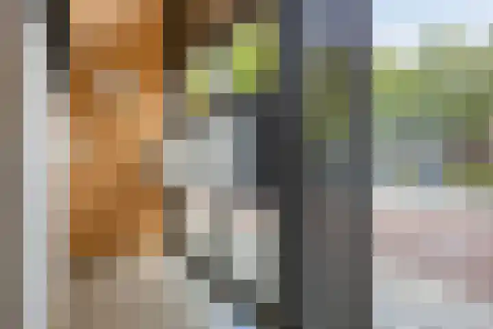 Hoogschoor 15 Goirle thumbnail 4