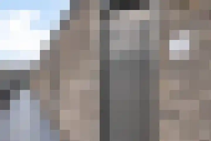 Hoogschoor 15 Goirle thumbnail 5