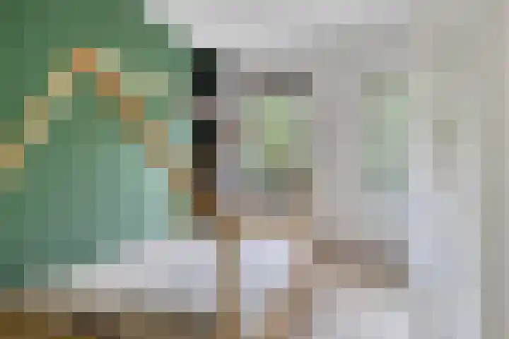 Hoogschoor 15 Goirle thumbnail 7