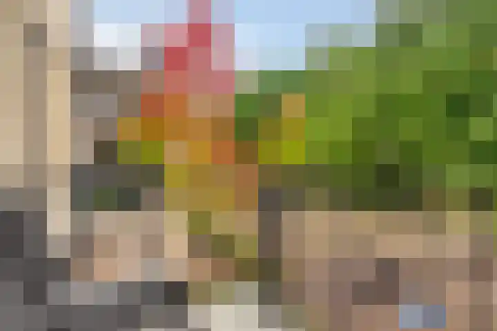 Hoogschoor 7 Goirle thumbnail 10