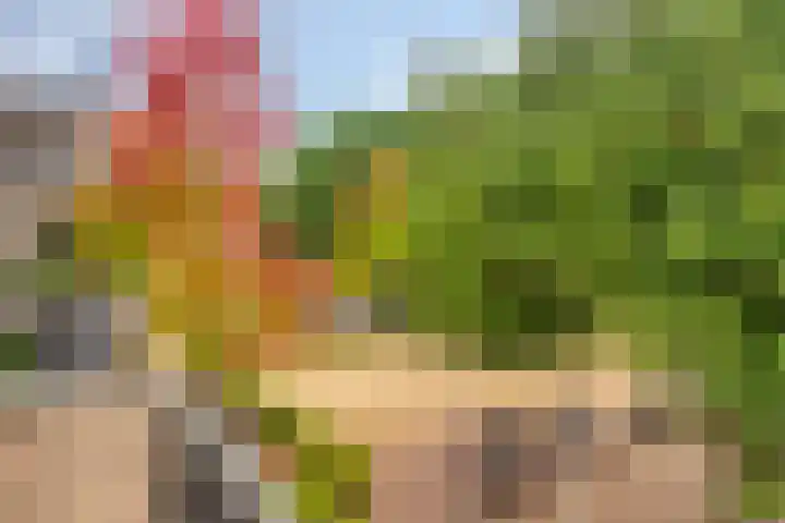 Hoogschoor 7 Goirle thumbnail 11