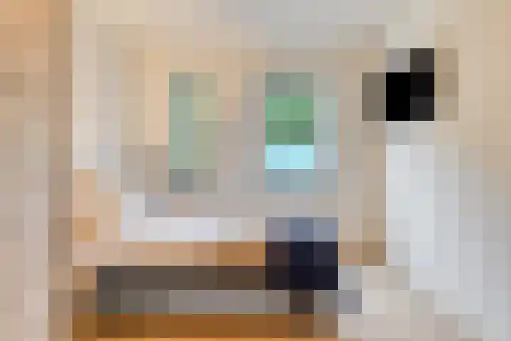 Hoogschoor 7 Goirle thumbnail 12