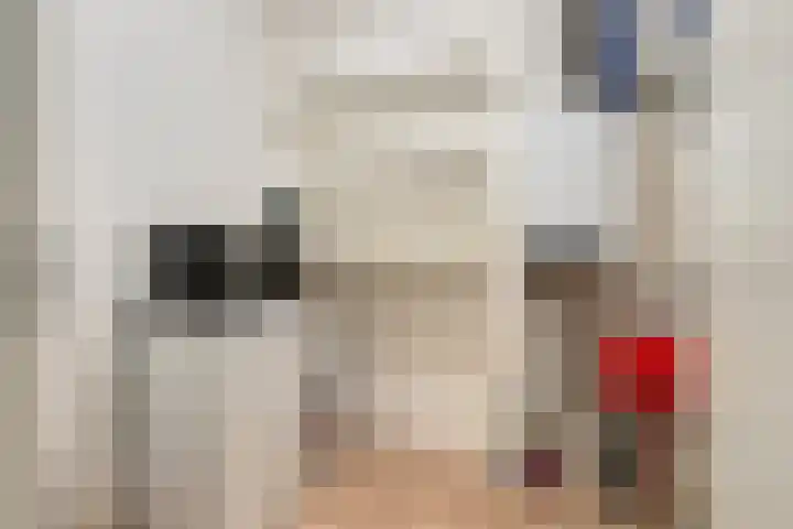 Hoogschoor 7 Goirle thumbnail 18