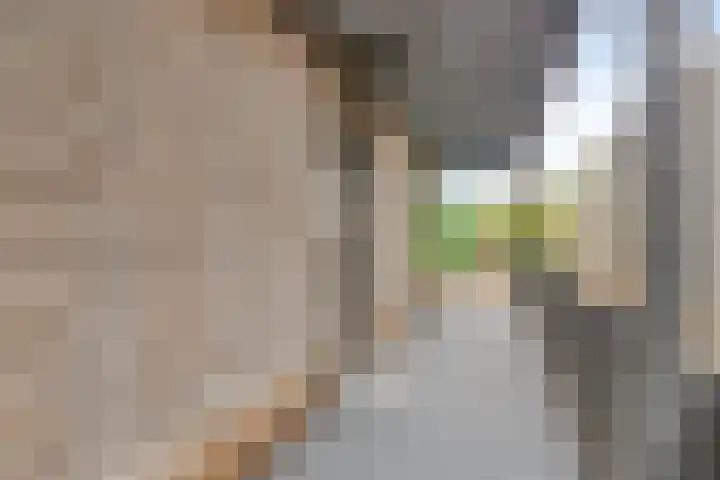 Hoogschoor 7 Goirle thumbnail 19