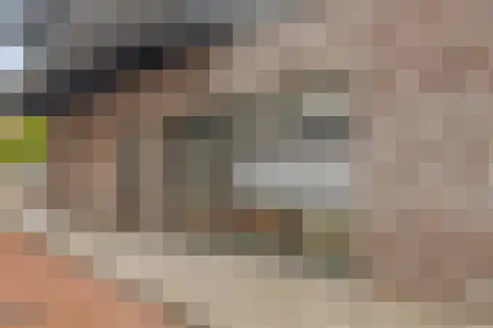 Hoogschoor 7 Goirle thumbnail 23