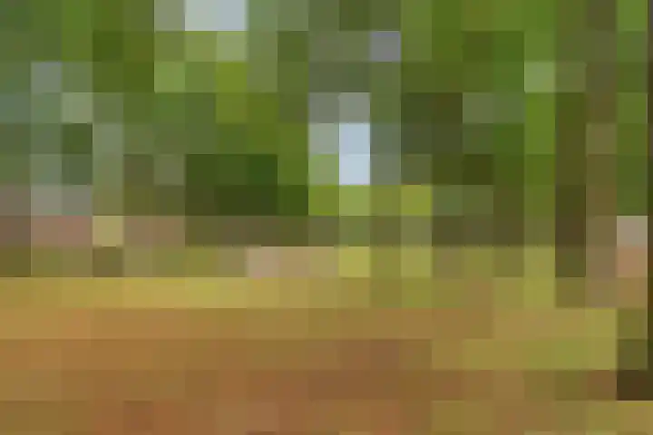 Hoogschoor 7 Goirle thumbnail 26