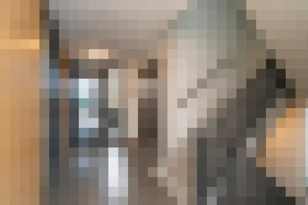 Hoogschoor 80 Goirle thumbnail 11
