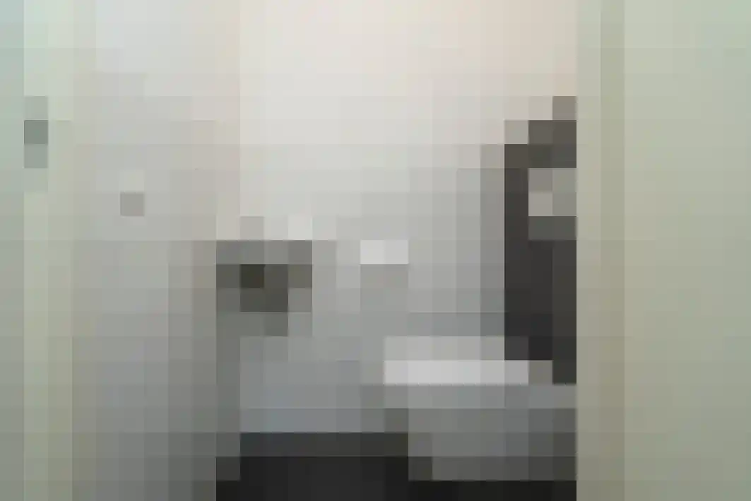Hoogschoor 80 Goirle thumbnail 15