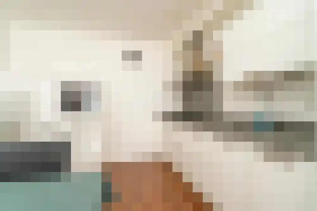 Hoogschoor 80 Goirle thumbnail 19