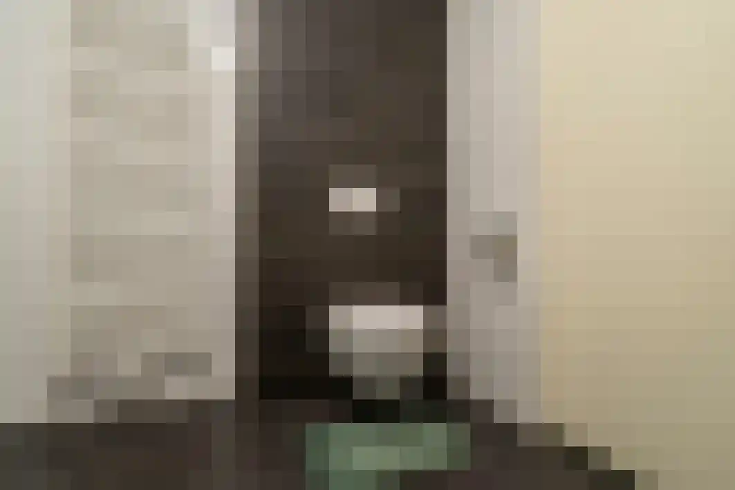 Hoogschoor 80 Goirle thumbnail 32