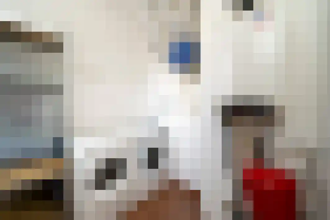 Hoogschoor 80 Goirle thumbnail 34