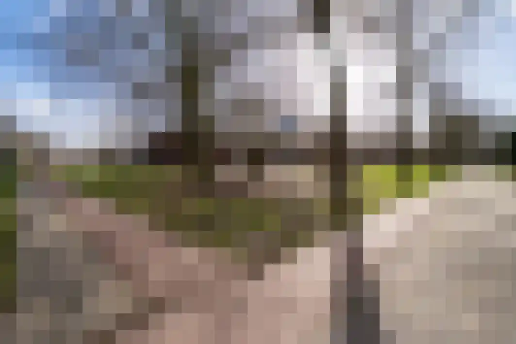 Hoogschoor 80 Goirle thumbnail 37