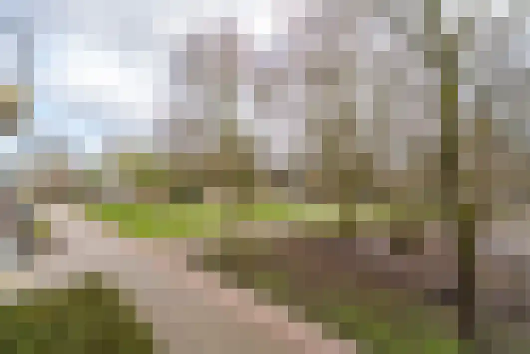 Hoogschoor 80 Goirle thumbnail 38