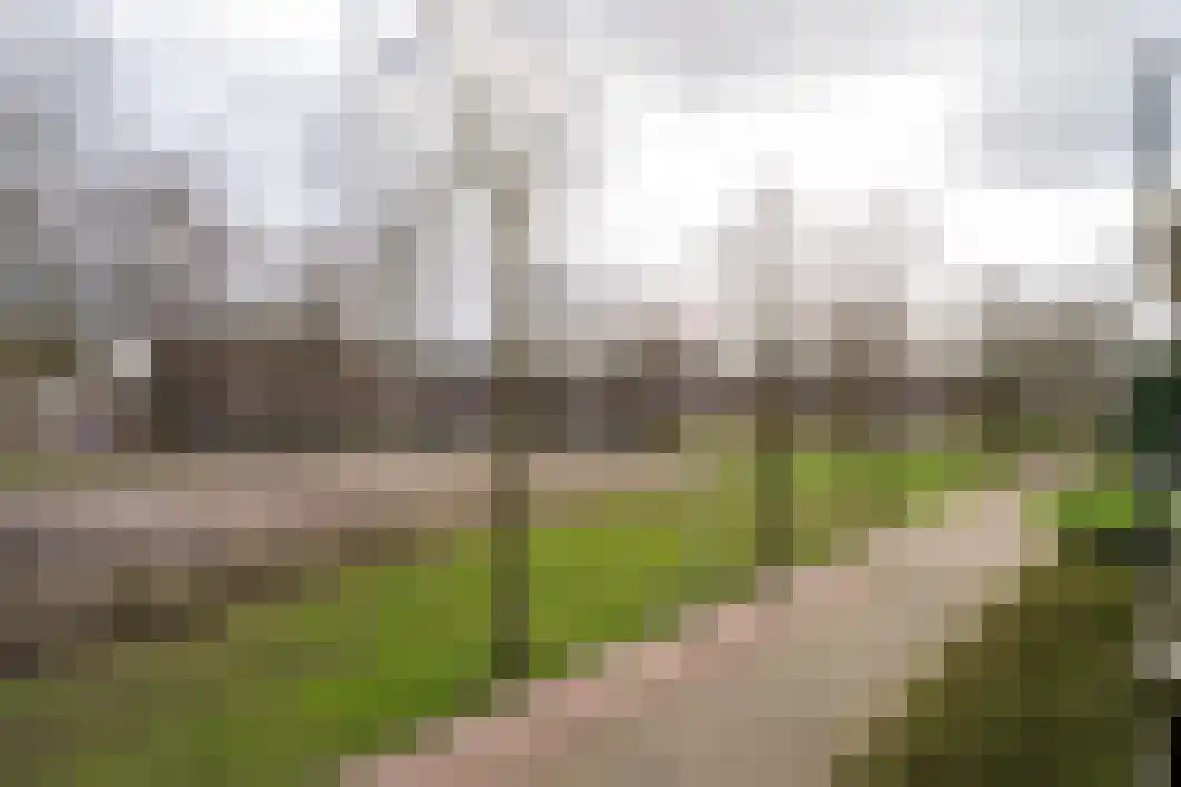 Hoogschoor 80 Goirle thumbnail 39