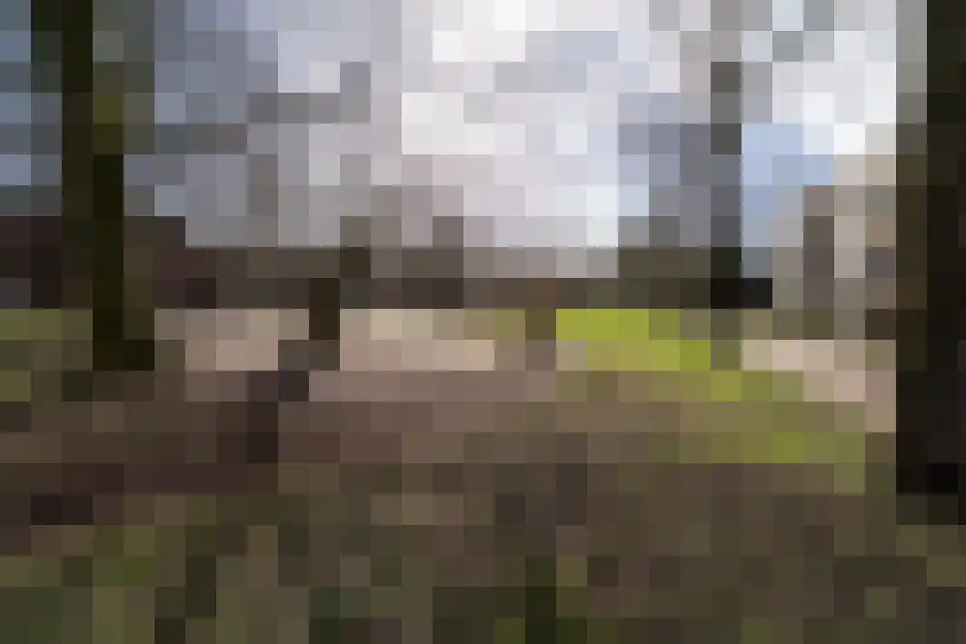 Hoogschoor 80 Goirle thumbnail 40